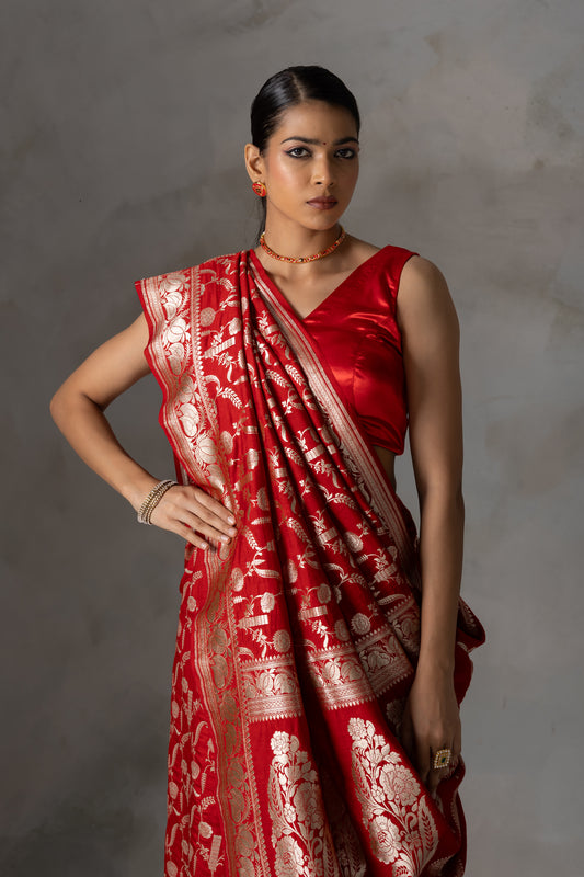 Red Rose Banarasi Handloom Silk Saree with Gold Zari Weaving