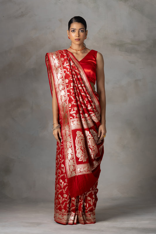 Red Rose Banarasi Handloom Silk Saree with Gold Zari Weaving