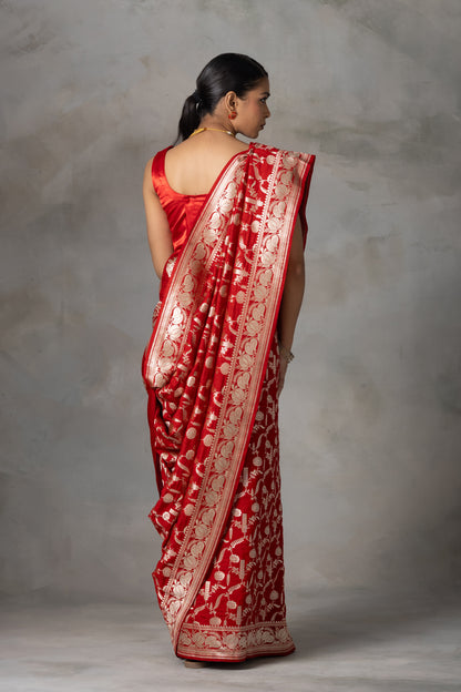 Red Rose Banarasi Handloom Silk Saree with Gold Zari Weaving